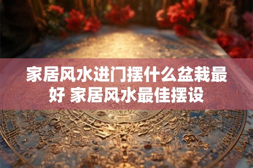 家居风水进门摆什么盆栽最好 家居风水最佳摆设