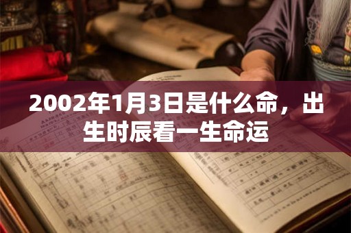 2002年1月3日是什么命，出生时辰看一生命运