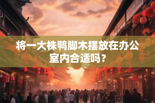 将一大株鸭脚木摆放在办公室内合适吗？