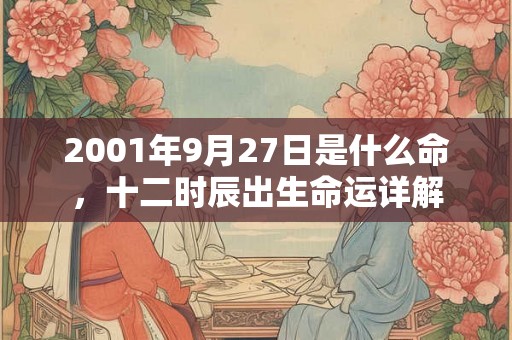 2001年9月27日是什么命，十二时辰出生命运详解