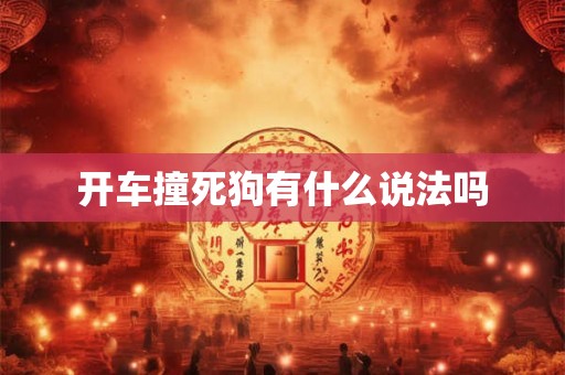 开车撞死狗有什么说法吗