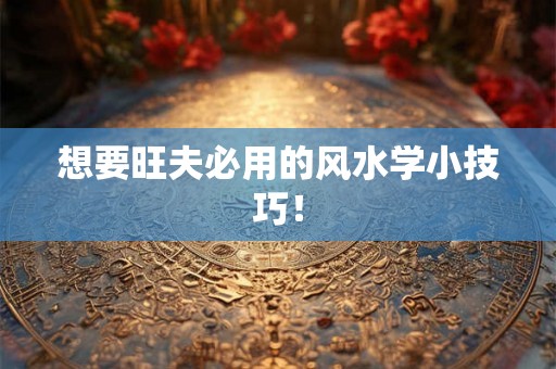 想要旺夫必用的风水学小技巧！