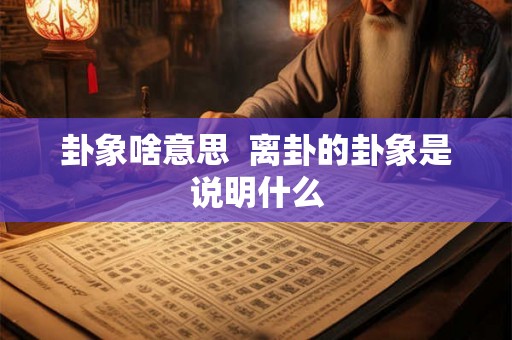 卦象啥意思  离卦的卦象是说明什么