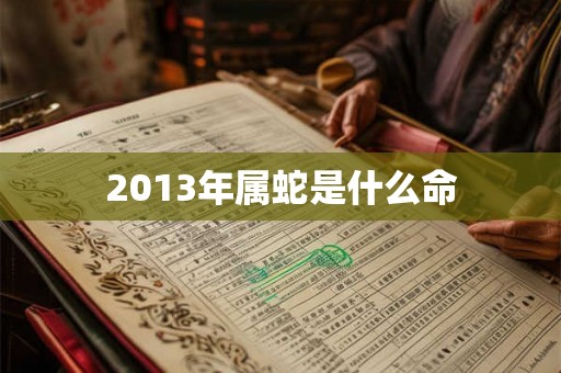 2013年属蛇是什么命