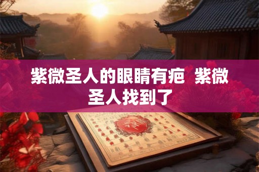 紫微圣人的眼睛有疤  紫微圣人找到了