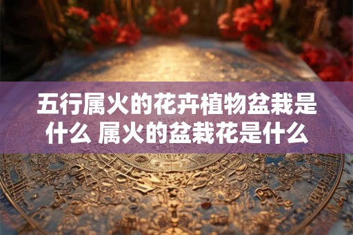 五行属火的花卉植物盆栽是什么 属火的盆栽花是什么