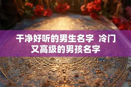 干净好听的男生名字  冷门又高级的男孩名字