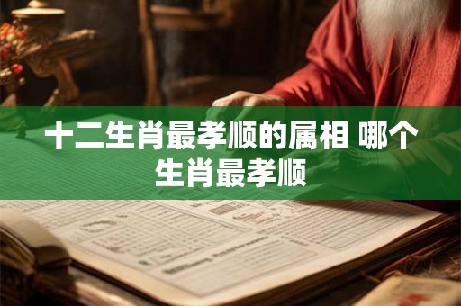 十二生肖最孝顺的属相 哪个生肖最孝顺
