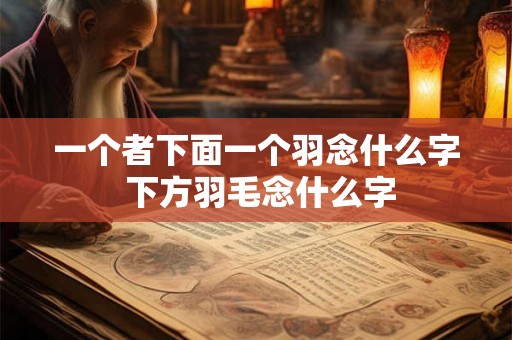 一个者下面一个羽念什么字 下方羽毛念什么字