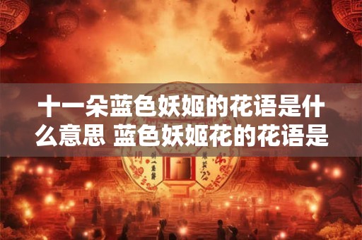 十一朵蓝色妖姬的花语是什么意思 蓝色妖姬花的花语是什么