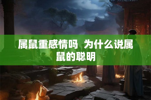 属鼠重感情吗  为什么说属鼠的聪明