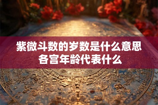 紫微斗数的岁数是什么意思 各宫年龄代表什么
