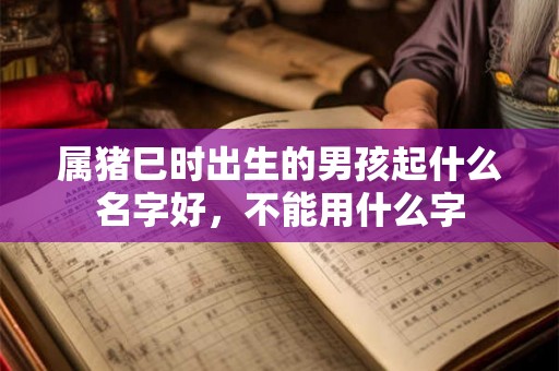 属猪巳时出生的男孩起什么名字好，不能用什么字