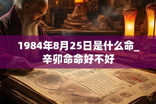 1984年8月25日是什么命_辛卯命命好不好