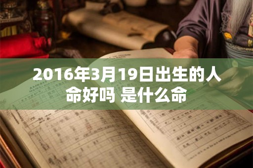 2016年3月19日出生的人命好吗 是什么命