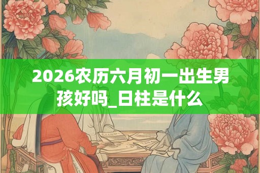 2026农历六月初一出生男孩好吗_日柱是什么 2026农历六月初一出生男孩好吗_日柱是什么