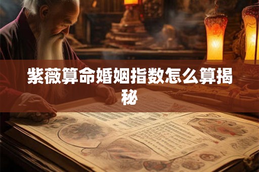 紫薇算命婚姻指数怎么算揭秘