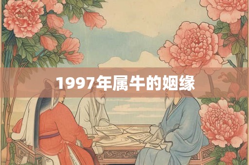 1997年属牛的姻缘