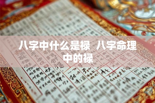 八字中什么是禄  八字命理中的禄