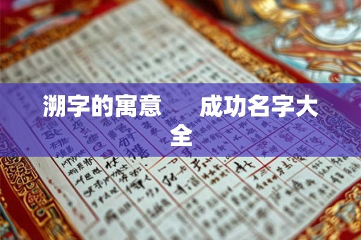 溯字的寓意  　成功名字大全