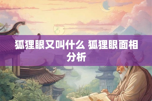 狐狸眼又叫什么 狐狸眼面相分析 狐狸眼又叫什么 狐狸眼面相分析