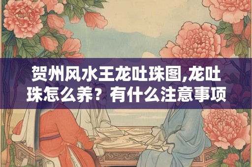 贺州风水王龙吐珠图,龙吐珠怎么养?有什么注意事项吗? 贺州风水王龙吐珠图,龙吐珠怎么养?有什么注意事项吗?