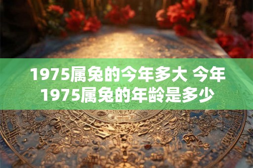 1975属兔的今年多大 今年1975属兔的年龄是多少
