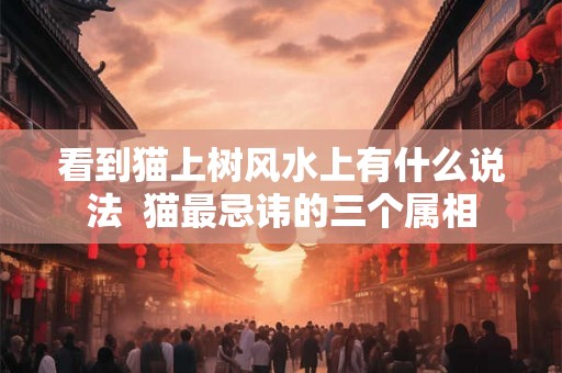 看到猫上树风水上有什么说法  猫最忌讳的三个属相