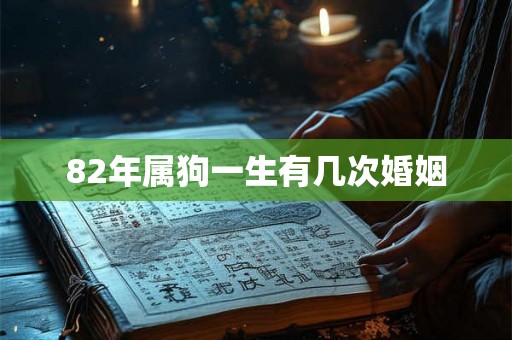 82年属狗一生有几次婚姻
