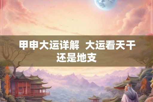 甲申大运详解 大运看天干还是地支 甲申大运详解 大运看天干还是地支