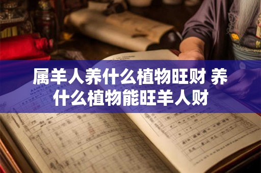 属羊人养什么植物旺财 养什么植物能旺羊人财 属羊人养什么植物旺财 养什么植物能旺羊人财