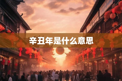 辛丑年是什么意思
