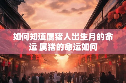 如何知道属猪人出生月的命运 属猪的命运如何 如何知道属猪人出生月的命运 属猪的命运如何