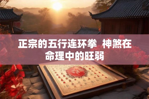 正宗的五行连环拳  神煞在命理中的旺弱