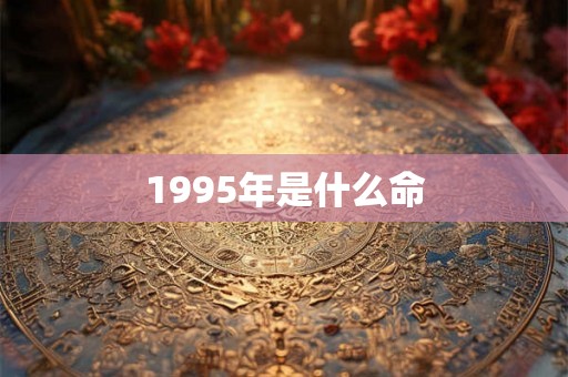 1995年是什么命