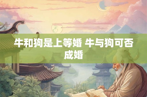 牛和狗是上等婚 牛与狗可否成婚