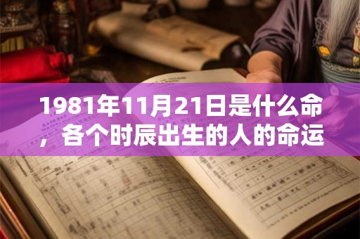 1981年11月21日是什么命，各个时辰出生的人的命运