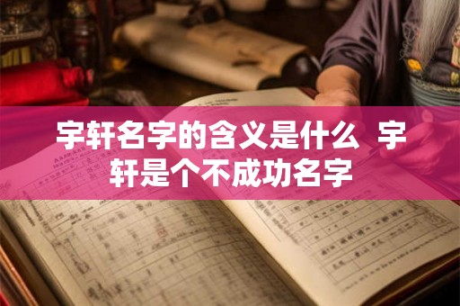 宇轩名字的含义是什么  宇轩是个不成功名字