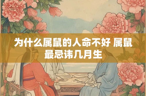 为什么属鼠的人命不好 属鼠最忌讳几月生