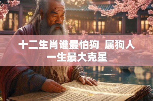 十二生肖谁最怕狗 属狗人一生最大克星 十二生肖谁最怕狗 属狗人一生最大克星