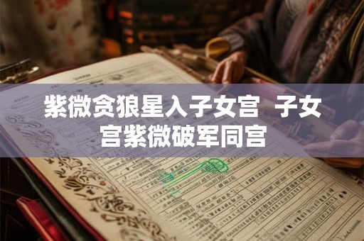 紫微贪狼星入子女宫  子女宫紫微破军同宫