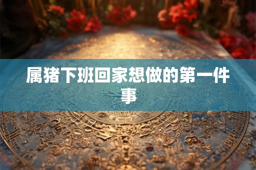 属猪下班回家想做的第一件事