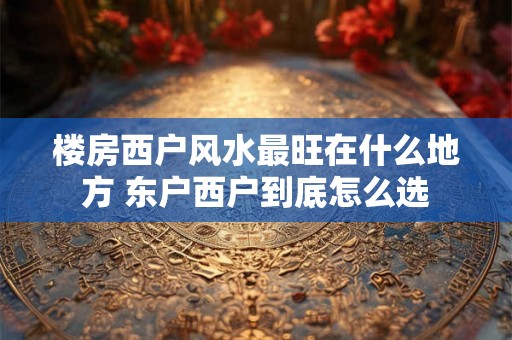 楼房西户风水最旺在什么地方 东户西户到底怎么选