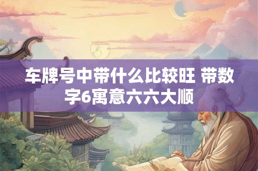 车牌号中带什么比较旺 带数字6寓意六六大顺