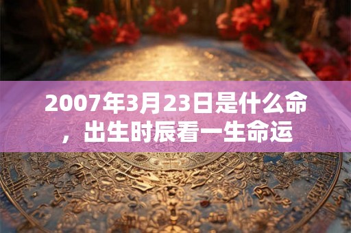2007年3月23日是什么命，出生时辰看一生命运
