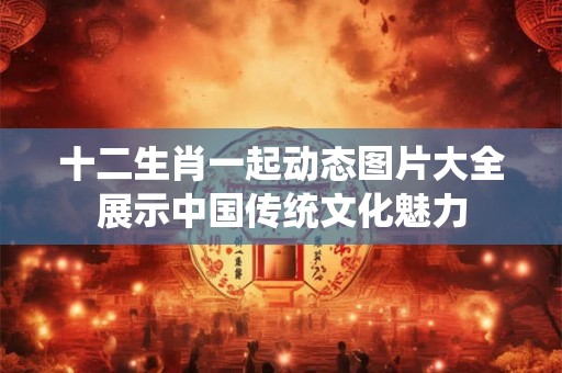 十二生肖一起动态图片大全展示中国传统文化魅力