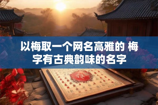 以梅取一个网名高雅的 梅字有古典韵味的名字 以梅取一个网名高雅的 梅字有古典韵味的名字