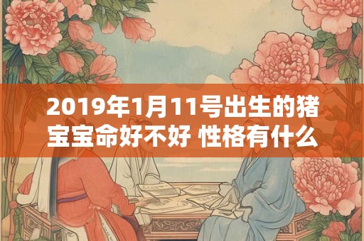 2019年1月11号出生的猪宝宝命好不好 性格有什么特点