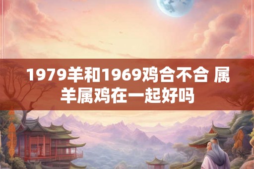 1979羊和1969鸡合不合 属羊属鸡在一起好吗