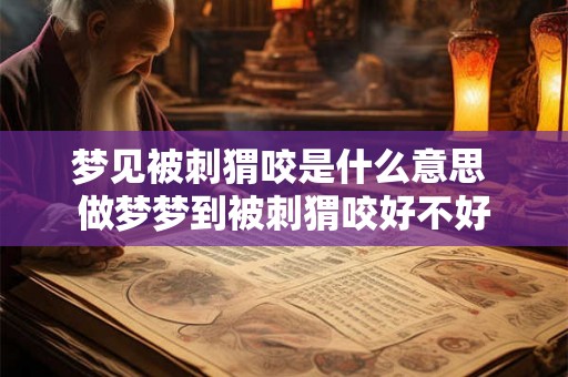 梦见被刺猬咬是什么意思 做梦梦到被刺猬咬好不好